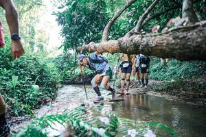 BIB: 
                            <button type="button" onclick="openModal(25443672)" class="btn btn-primary btn-sm float-right btn-popup" data-toggle="modal" data-target=".modal-high-quality">
                        <i class="fas fa-shopping-cart"></i> Add to Cart
                    </button>
                                            <button type="button" onclick="isThisMe(25443672, true)" class="btn btn-success btn-sm float-right btn-popup btn-isme hidden" data-toggle="tooltip" data-placement="bottom" title="นี่คือรูปของคุณใช่ไหม คลิกที่นี่เพื่อเอาเข้าอัลบั้ม">
                        <i class="fas fa-plus"></i> Add to album
                    </button>
                    <button type="button" onclick="isThisMe(25443672, false)" class="btn btn-warning btn-sm float-right btn-popup btn-isnotme hidden">
                        <i class="fas fa-ban"></i> Remove from album
                    </button>